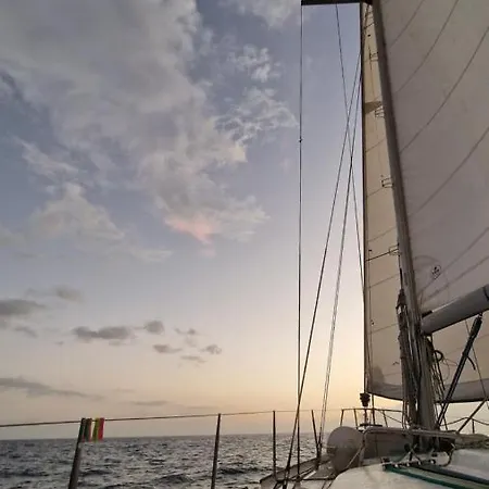 Yellow Sailboat